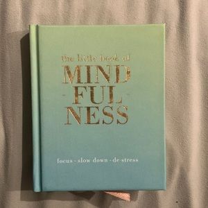 The Little Book of Mindfulness by Tiddy Rowan